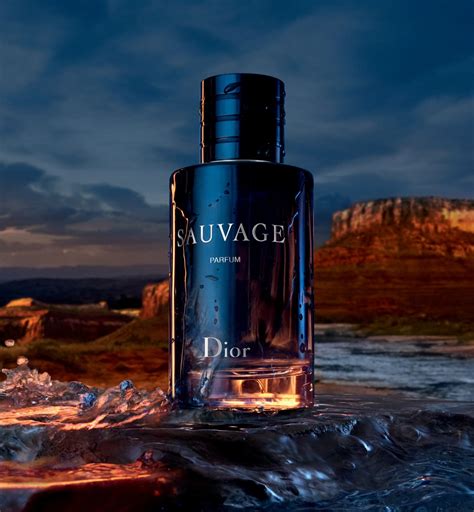 precio perfume dior sauvage|dior sauvage by christian.